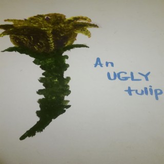 an ugly tulip