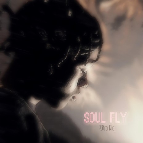 Soul Fly | Boomplay Music