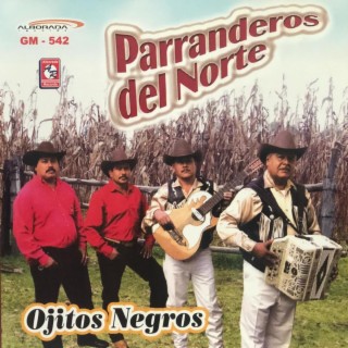 OJITOS NEGROS