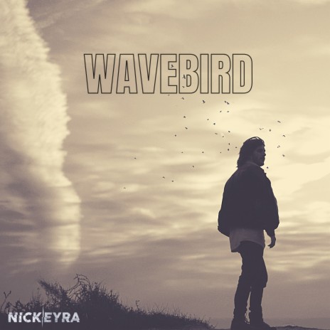 Wavebird | Boomplay Music