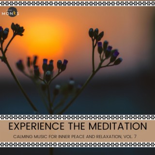 Experience the Meditation - Calming Music for Inner Peace and Relaxation, Vol. 7