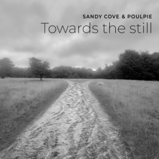 Towards the still ft. Poulpie lyrics | Boomplay Music