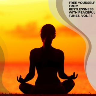 Free Yourself from Restlessness with Peaceful Tunes, Vol. 14