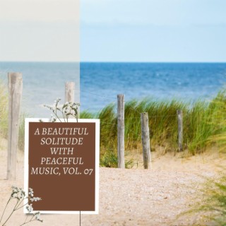 A Beautiful Solitude with Peaceful Music, Vol. 07
