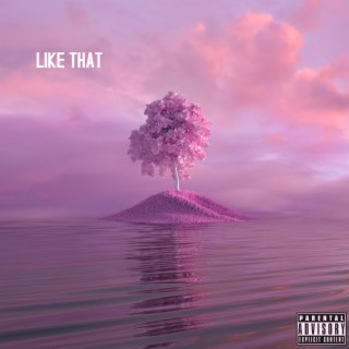 Like that lyrics | Boomplay Music