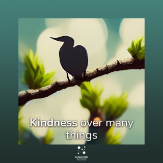 Kindness over many things