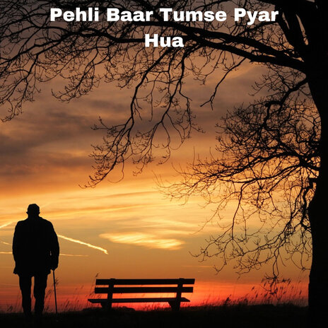 Pehli Baar Tumse Pyar Hua | Boomplay Music