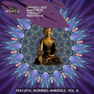 Enhance Self Awareness Through Meditation - Peaceful Morning Ambience, Vol. 8