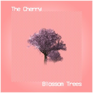 The Cherry Blossom Trees