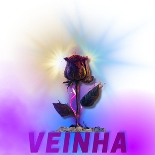 VEINHA