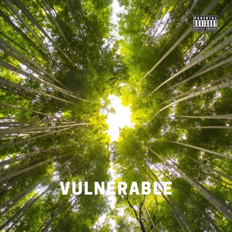 Vulnerable | Boomplay Music