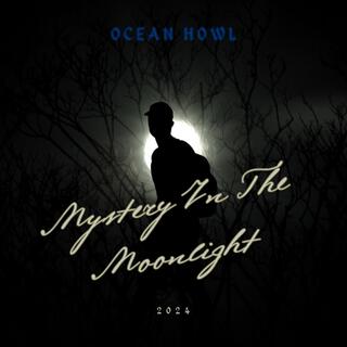 Mystery In The Moonlight