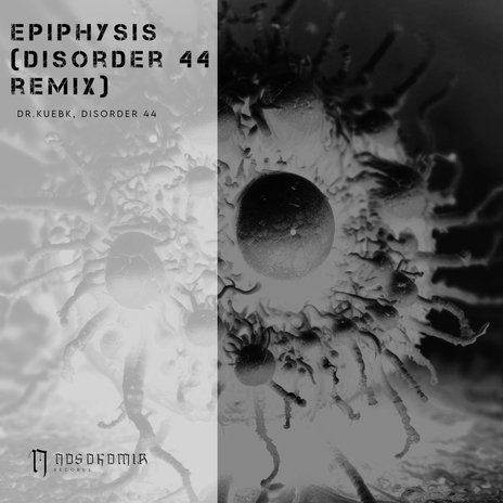 Epiphysis (Disorder 44 Remix) ft. Disorder 44 | Boomplay Music