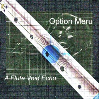 A Flute Void Echo