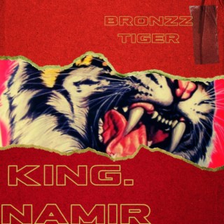 King Namir