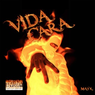 Vida Cara lyrics | Boomplay Music