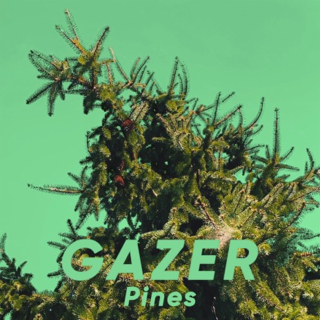 Pines | Boomplay Music