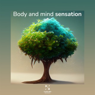 Body and mind sensation