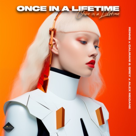 Once in a Lifetime ft. Alex Megane & Calmani & Grey | Boomplay Music