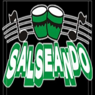 Download Robert Salsa album songs: Salseando | Boomplay Music