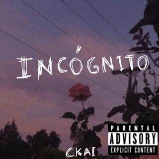 Incógnito (freestyle)