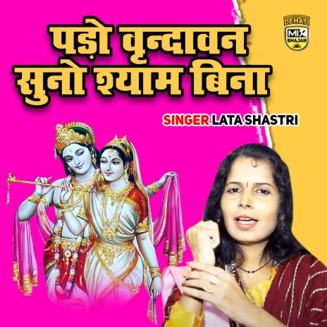 Pado Vrindavan Suno Shyam Bina | Boomplay Music