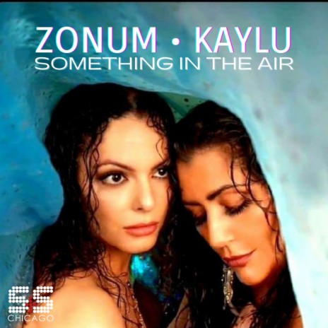 Somethin In The Air ft. Kaylu | Boomplay Music