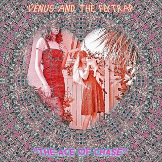 The Ace of Chase (Venus and the Flytrap)