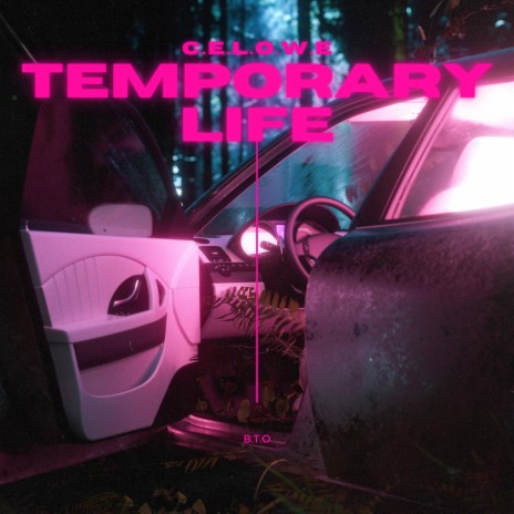 Temporary Life (Radio Edit) | Boomplay Music