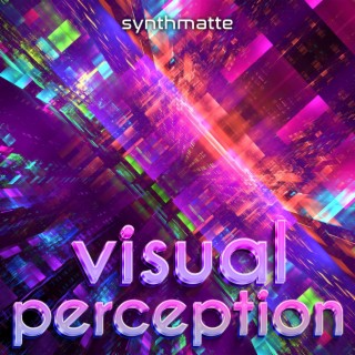 visual perception