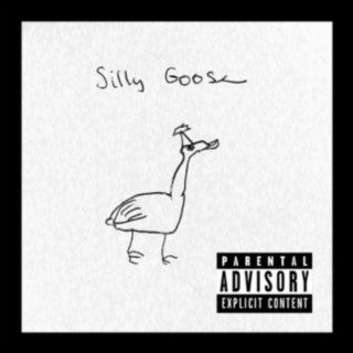 silly goose