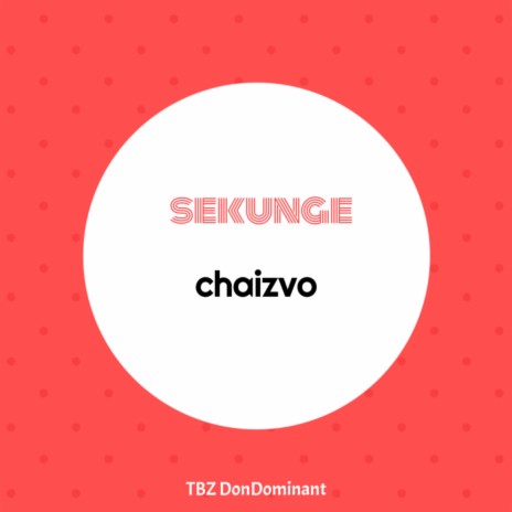 Sekunge Chaizvo | Boomplay Music