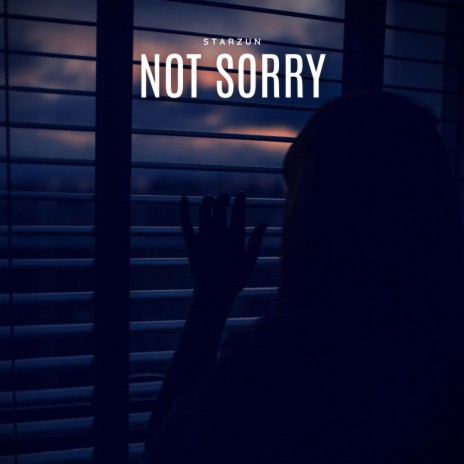 Not Sorry | Boomplay Music