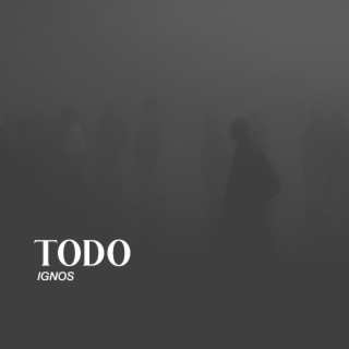 Todo