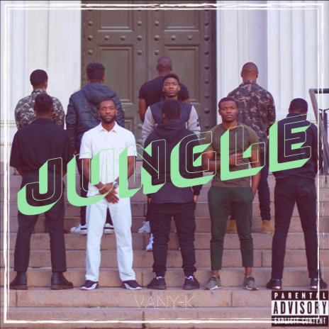 Jungle ft. Dr. Ari & C1N | Boomplay Music