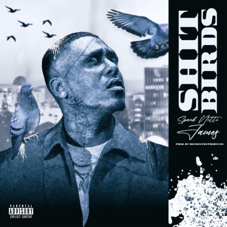 Shit Birds | Boomplay Music