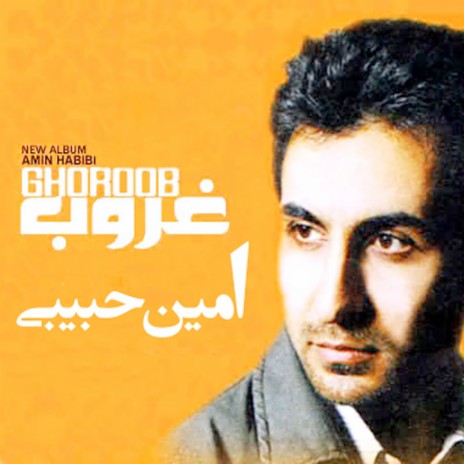 Amin Habibi Ghoroob