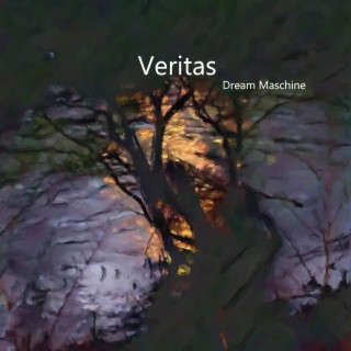 Veritas