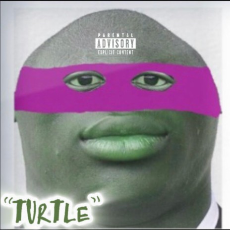 Turtle | Boomplay Music