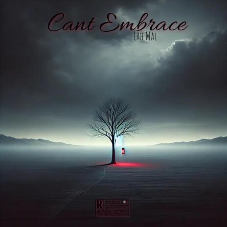 Cant Embrace | Boomplay Music