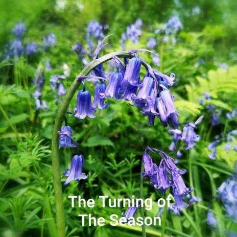 The Turning of The Season | Boomplay Music