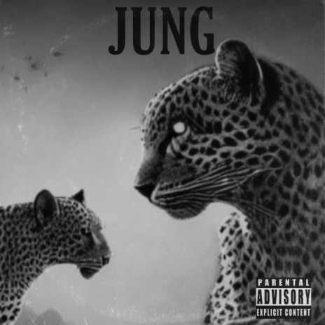 jung ft. MoHeat | Boomplay Music