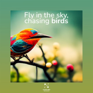 Fly in the sky, chasing birds