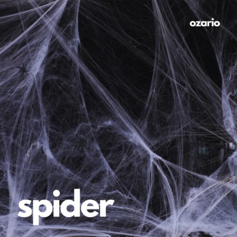 SPIDER | Boomplay Music