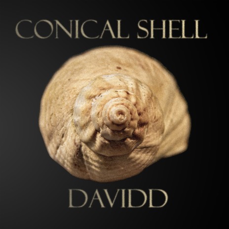 Conical Shell | Boomplay Music