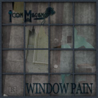 WINDOW PAIN