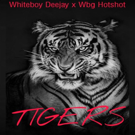 Tigers ft. Wbg Hotshot | Boomplay Music