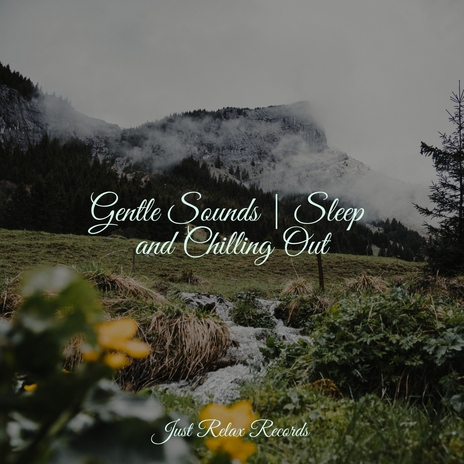 Whispers in a Gentle Breeze ft. Rest & Relax Nature Sounds Artists & Thunderstorm Sound Bank | Boomplay Music