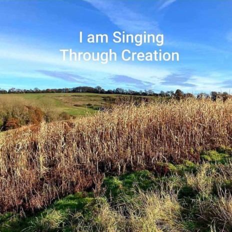 I Am Singing Through Creation | Boomplay Music