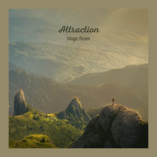 Attraction